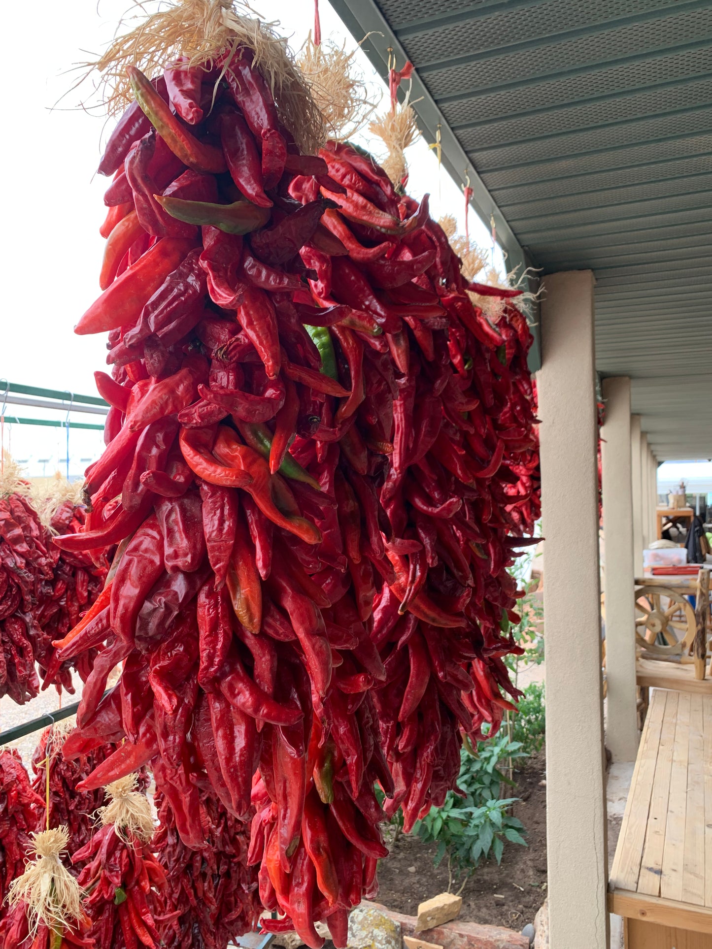 Red Chile Ristra - 1 Ft.